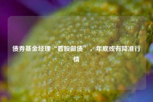 债券基金经理“看股做债”，年底或有降准行情-第1张图片-彩票资讯