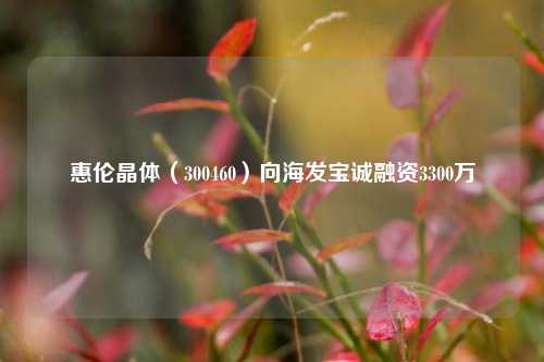 惠伦晶体（300460）向海发宝诚融资3300万-第1张图片-彩票资讯