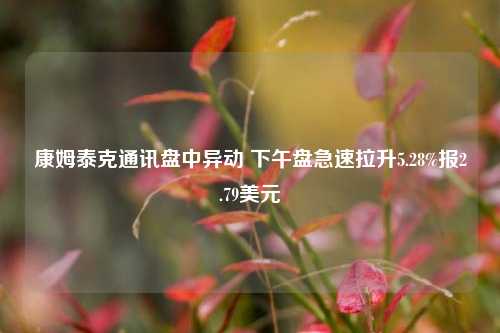 康姆泰克通讯盘中异动 下午盘急速拉升5.28%报2.79美元-第1张图片-彩票资讯