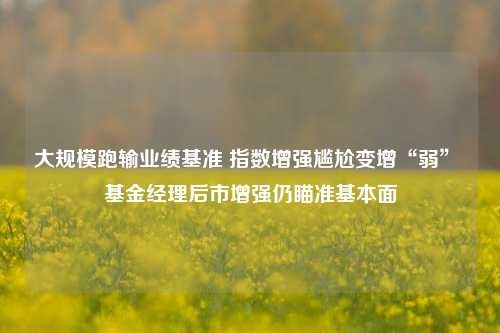 大规模跑输业绩基准 指数增强尴尬变增“弱” 基金经理后市增强仍瞄准基本面-第1张图片-彩票资讯