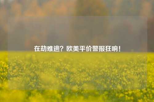 在劫难逃？欧美平价警报狂响！-第1张图片-彩票资讯