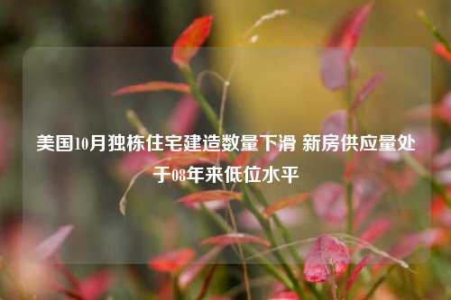 美国10月独栋住宅建造数量下滑 新房供应量处于08年来低位水平-第1张图片-彩票资讯