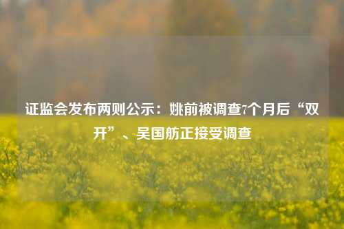 证监会发布两则公示：姚前被调查7个月后“双开”、吴国舫正接受调查-第1张图片-彩票资讯