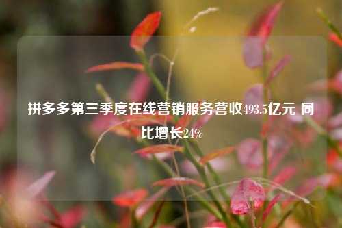 拼多多第三季度在线营销服务营收493.5亿元 同比增长24%-第1张图片-彩票资讯