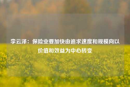 李云泽：保险业要加快由追求速度和规模向以价值和效益为中心转变-第1张图片-彩票资讯