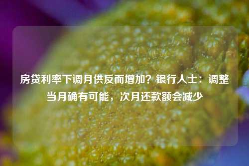 房贷利率下调月供反而增加？银行人士：调整当月确有可能，次月还款额会减少-第1张图片-彩票资讯