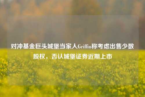 对冲基金巨头城堡当家人Griffin称考虑出售少数股权，否认城堡证券近期上市-第1张图片-彩票资讯