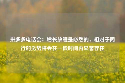 拼多多电话会：增长放缓是必然的，相对于同行的劣势将会在一段时间内显著存在-第1张图片-彩票资讯