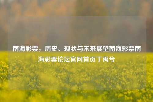 南海彩票，历史、现状与未来展望南海彩票南海彩票论坛官网首页丁禹兮-第1张图片-彩票资讯