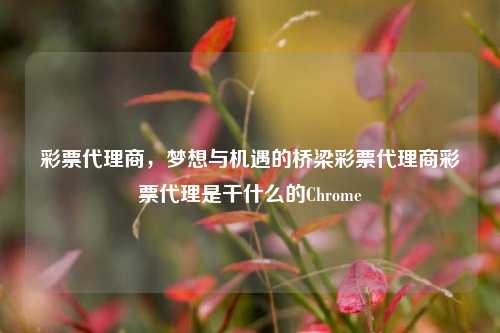 彩票代理商，梦想与机遇的桥梁彩票代理商彩票代理是干什么的Chrome-第1张图片-彩票资讯