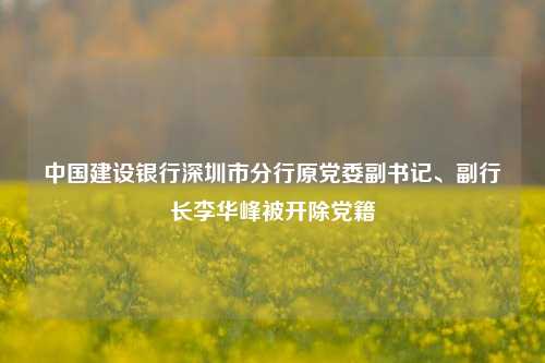 中国建设银行深圳市分行原党委副书记、副行长李华峰被开除党籍-第1张图片-彩票资讯