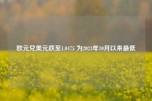 欧元兑美元跌至1.0475 为2023年10月以来最低-第1张图片-彩票资讯