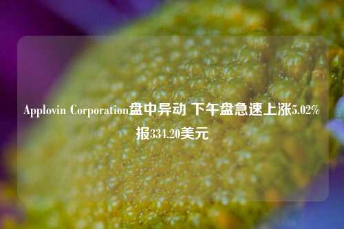 Applovin Corporation盘中异动 下午盘急速上涨5.02%报334.20美元-第1张图片-彩票资讯