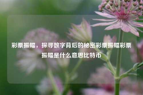 彩票振幅，探寻数字背后的秘密彩票振幅彩票振幅是什么意思比特币-第1张图片-彩票资讯