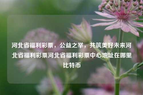 河北省福利彩票，公益之举，共筑美好未来河北省福利彩票河北省福利彩票中心地址在哪里比特币-第1张图片-彩票资讯