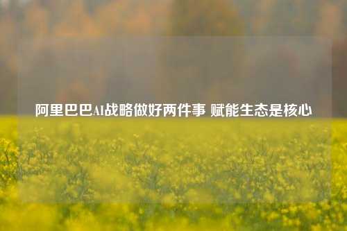 阿里巴巴AI战略做好两件事 赋能生态是核心-第1张图片-彩票资讯