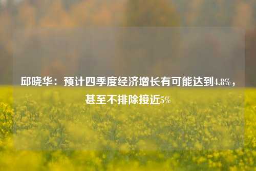 邱晓华：预计四季度经济增长有可能达到4.8%，甚至不排除接近5%-第1张图片-彩票资讯