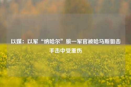 以媒：以军“纳哈尔”旅一军官被哈马斯狙击手击中受重伤-第1张图片-彩票资讯