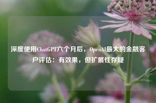 深度使用ChatGPT六个月后，OpenAI最大的金融客户评估：有效果，但扩展性存疑-第1张图片-彩票资讯