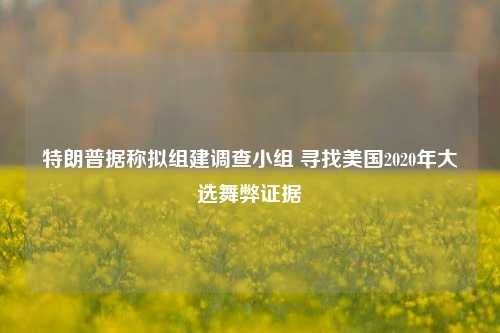 特朗普据称拟组建调查小组 寻找美国2020年大选舞弊证据-第1张图片-彩票资讯