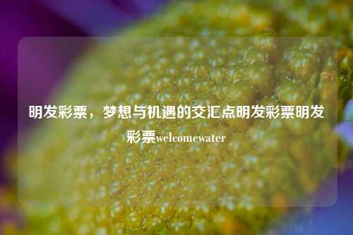 明发彩票，梦想与机遇的交汇点明发彩票明发彩票welcomewater-第1张图片-彩票资讯