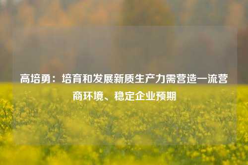 高培勇：培育和发展新质生产力需营造一流营商环境、稳定企业预期-第1张图片-彩票资讯