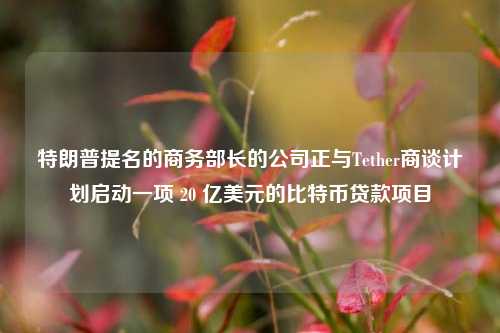 特朗普提名的商务部长的公司正与Tether商谈计划启动一项 20 亿美元的比特币贷款项目-第1张图片-彩票资讯