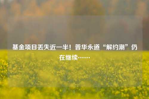 基金项目丢失近一半！普华永道“解约潮”仍在继续……-第1张图片-彩票资讯