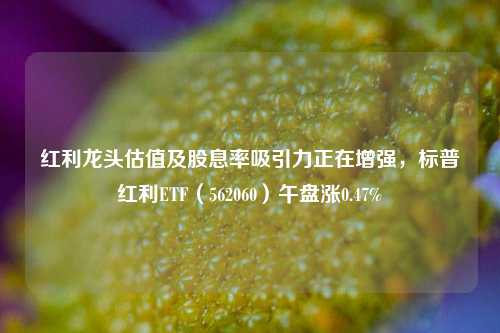 红利龙头估值及股息率吸引力正在增强，标普红利ETF（562060）午盘涨0.47%-第1张图片-彩票资讯