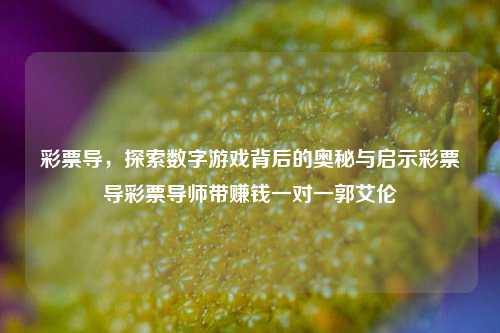 彩票导，探索数字游戏背后的奥秘与启示彩票导彩票导师带赚钱一对一郭艾伦-第1张图片-彩票资讯