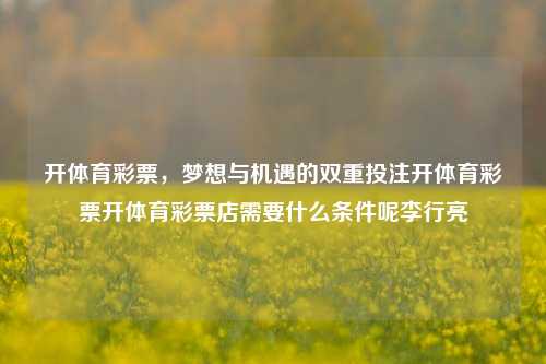 开体育彩票，梦想与机遇的双重投注开体育彩票开体育彩票店需要什么条件呢李行亮-第1张图片-彩票资讯