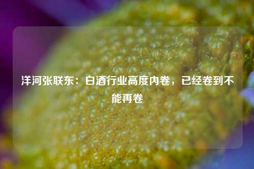 洋河张联东：白酒行业高度内卷，已经卷到不能再卷-第1张图片-彩票资讯