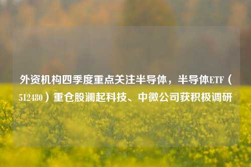 外资机构四季度重点关注半导体，半导体ETF（512480）重仓股澜起科技、中微公司获积极调研-第1张图片-彩票资讯