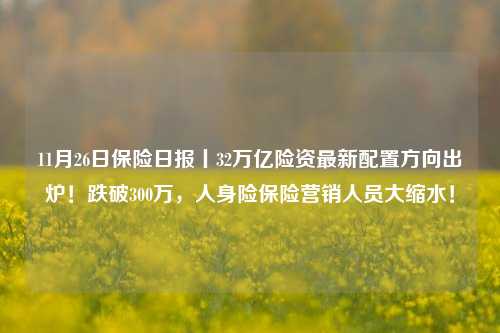 11月26日保险日报丨32万亿险资最新配置方向出炉！跌破300万，人身险保险营销人员大缩水！-第1张图片-彩票资讯