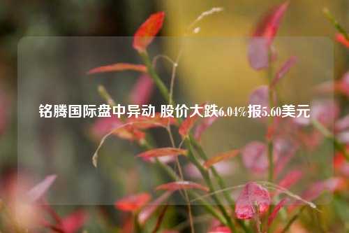 铭腾国际盘中异动 股价大跌6.04%报5.60美元-第1张图片-彩票资讯