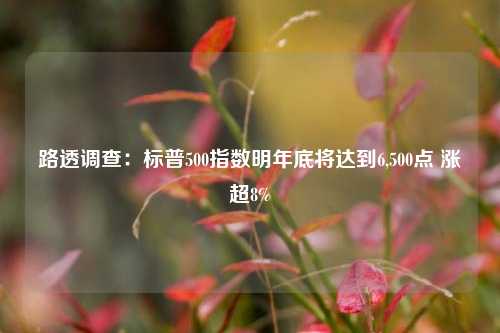 路透调查：标普500指数明年底将达到6,500点 涨超8%-第1张图片-彩票资讯