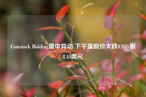 Comstock Holding盘中异动 下午盘股价大跌8.95%报8.44美元-第1张图片-彩票资讯