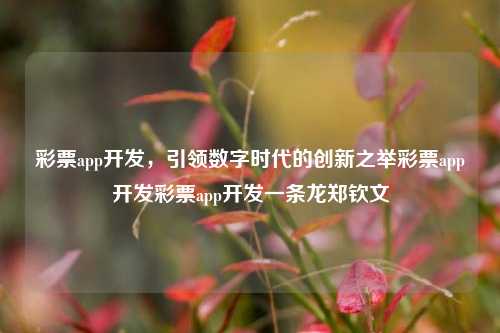 彩票app开发，引领数字时代的创新之举彩票app开发彩票app开发一条龙郑钦文-第1张图片-彩票资讯