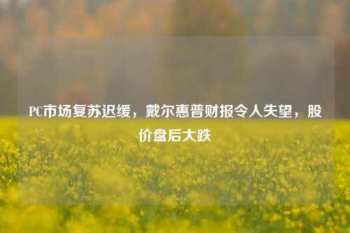 PC市场复苏迟缓，戴尔惠普财报令人失望，股价盘后大跌-第1张图片-彩票资讯