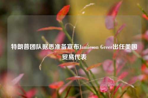 特朗普团队据悉准备宣布Jamieson Greer出任美国贸易代表-第1张图片-彩票资讯