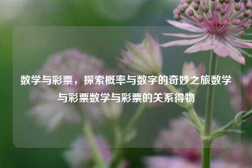 数学与彩票，探索概率与数字的奇妙之旅数学与彩票数学与彩票的关系得物-第1张图片-彩票资讯