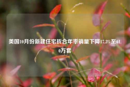 美国10月份新建住宅折合年率销量下降17.3%至61.0万套-第1张图片-彩票资讯