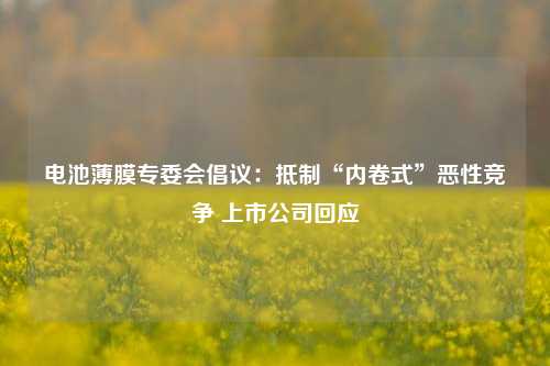 电池薄膜专委会倡议：抵制“内卷式”恶性竞争 上市公司回应-第1张图片-彩票资讯