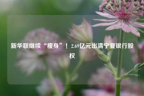 新华联继续“瘦身”！2.69亿元出清宁夏银行股权-第1张图片-彩票资讯