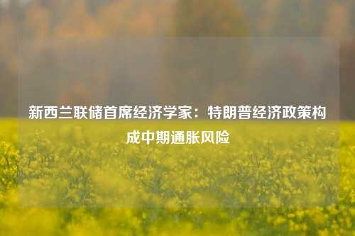 新西兰联储首席经济学家：特朗普经济政策构成中期通胀风险-第1张图片-彩票资讯