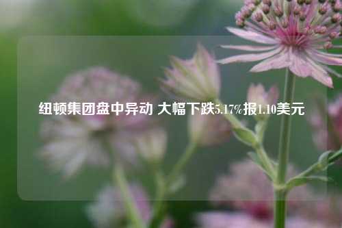 纽顿集团盘中异动 大幅下跌5.17%报1.10美元-第1张图片-彩票资讯