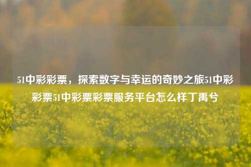 51中彩彩票，探索数字与幸运的奇妙之旅51中彩彩票51中彩票彩票服务平台怎么样丁禹兮-第1张图片-彩票资讯