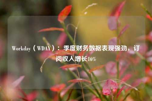 Workday（WDAY）：季度财务数据表现强劲，订阅收入增长16%-第1张图片-彩票资讯