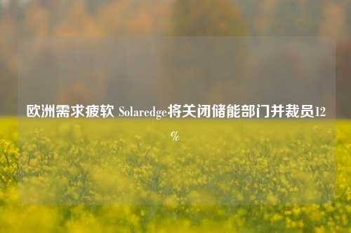 欧洲需求疲软 Solaredge将关闭储能部门并裁员12%-第1张图片-彩票资讯