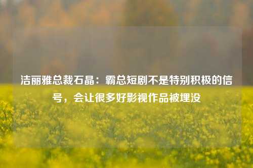 洁丽雅总裁石晶：霸总短剧不是特别积极的信号，会让很多好影视作品被埋没-第1张图片-彩票资讯